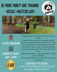 Be More Monty Dog Training- Recall masterclass Saturday,  30th August 10AM- 2.30PM