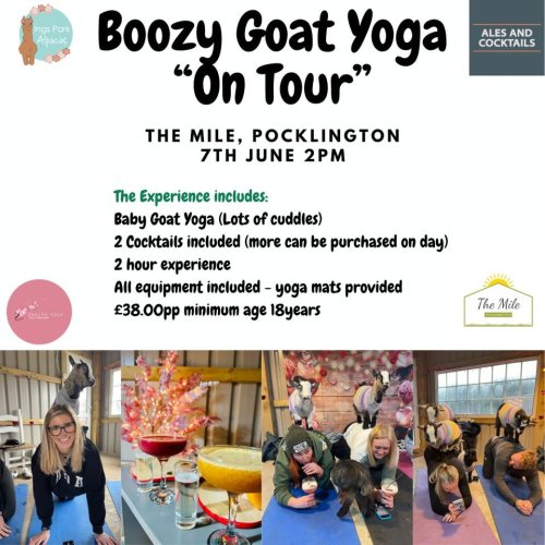 Boozy Goat Yoga 