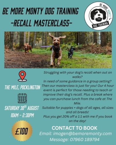 Be More Monty Dog Training- Recall masterclass Saturday,  30th August 10AM- 2.30PM